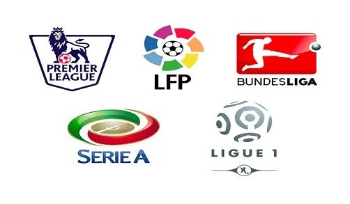 渐撑起了大 渐撑起了大